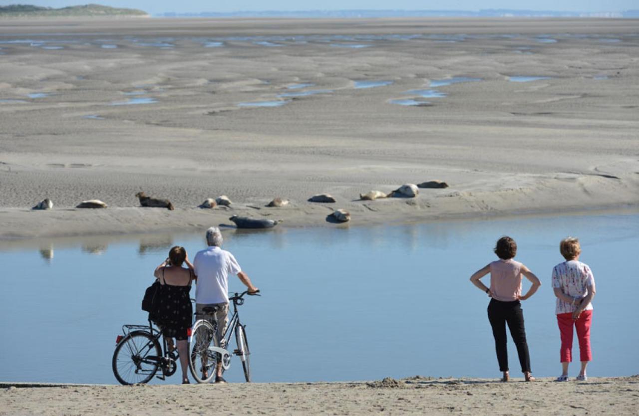 SURF Vue Mer 100m plage Berck Eksteriør billede